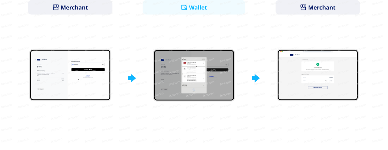 Apple Pay-1