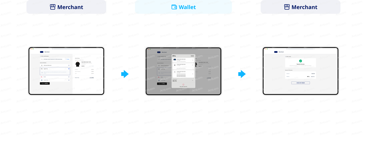 Apple Pay-2