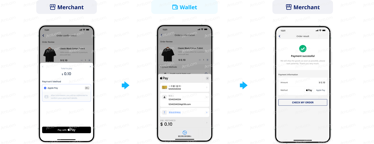 Apple Pay-3