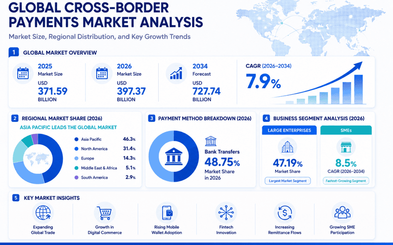 An infographic summarising the payment market growth and trends