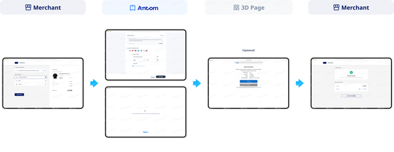 Diners non-PCI qualified first-time payment process through web