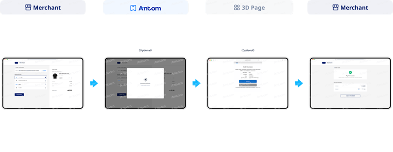 Discover SDK integration subsequent payment process through web