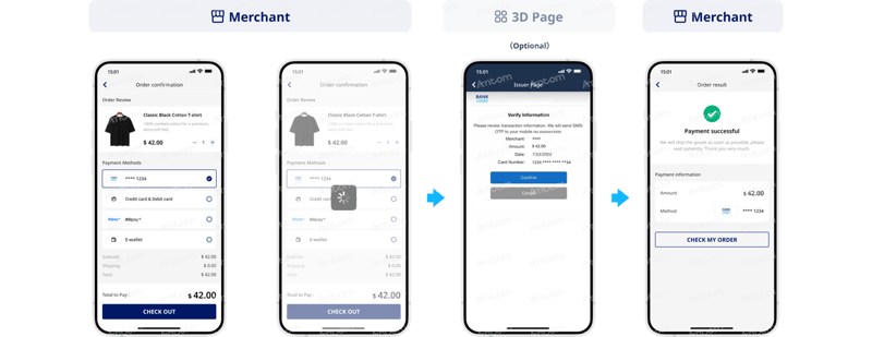 Discover API integration subsequent payment process through app