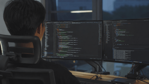 Developer integrating automated global mass payout API