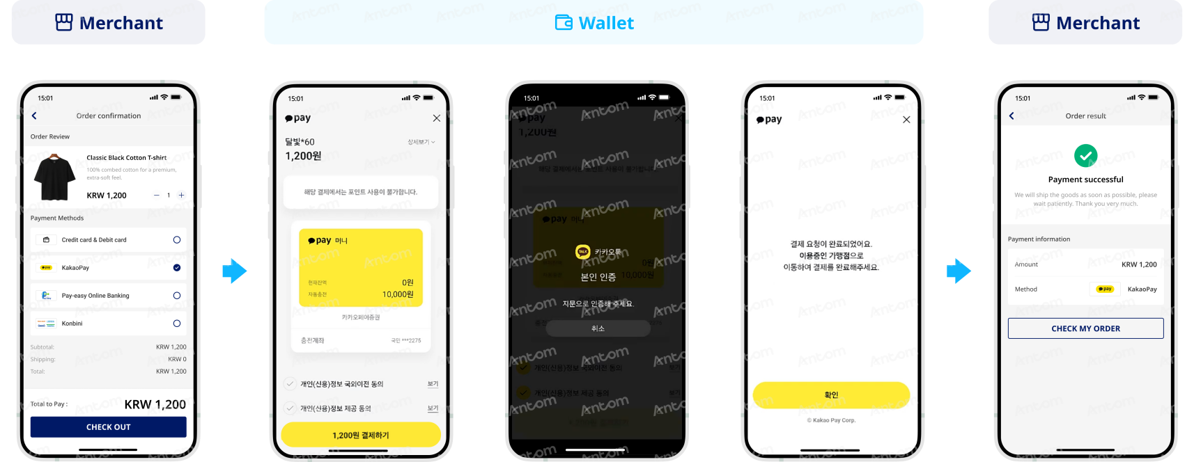 Kakao Pay app payment route
