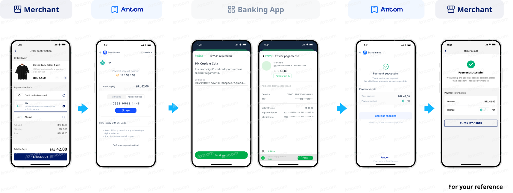 Pix-Payment Code