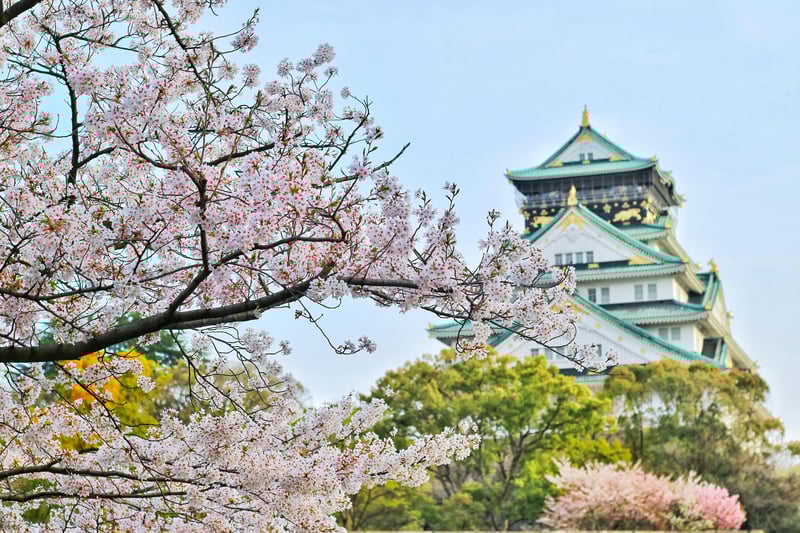 Insights on Overseas Opportunities for Japan and South Korea’s Travel Industry featured image